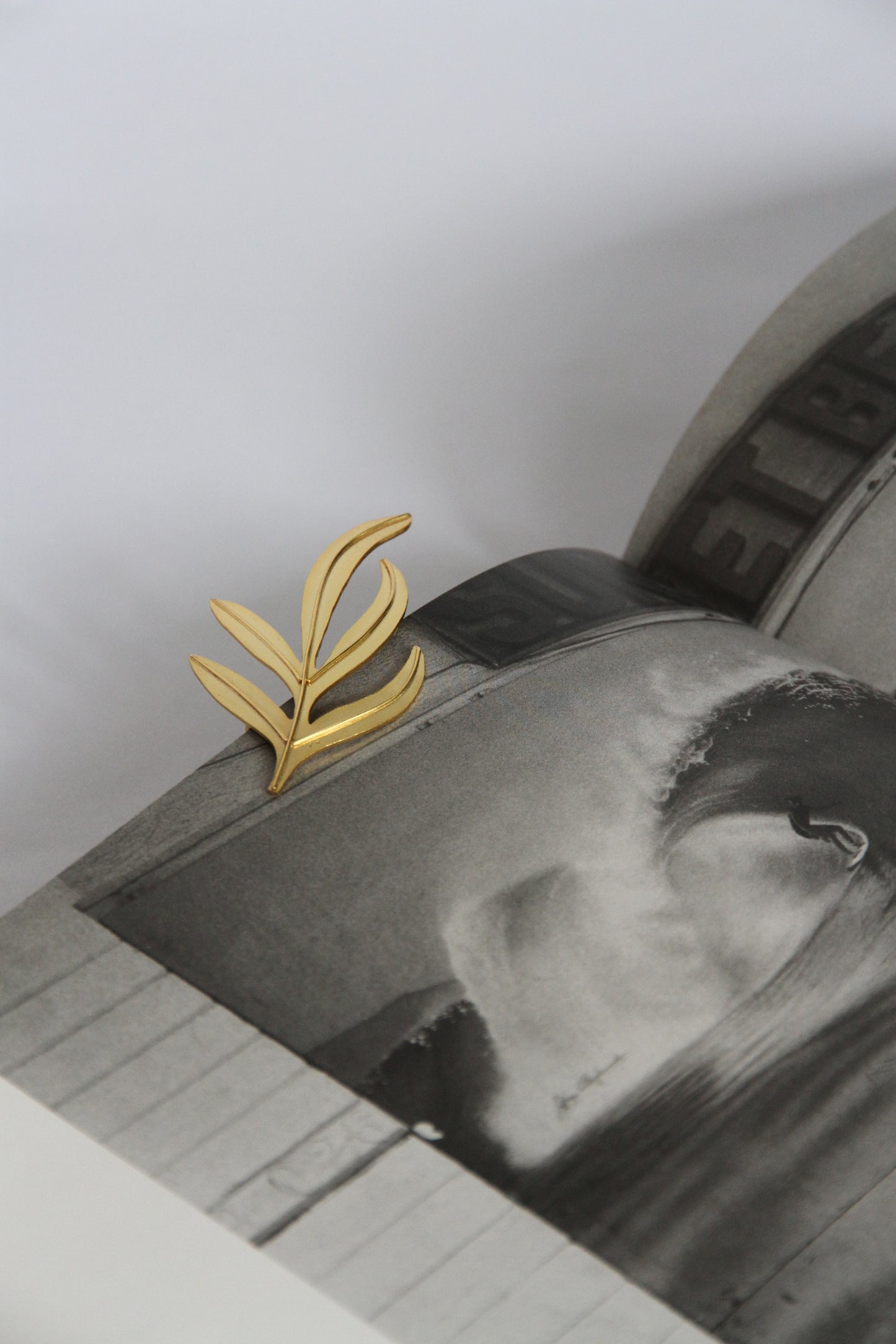 24K Gold Plated Brooch【Fern】by Aakar
