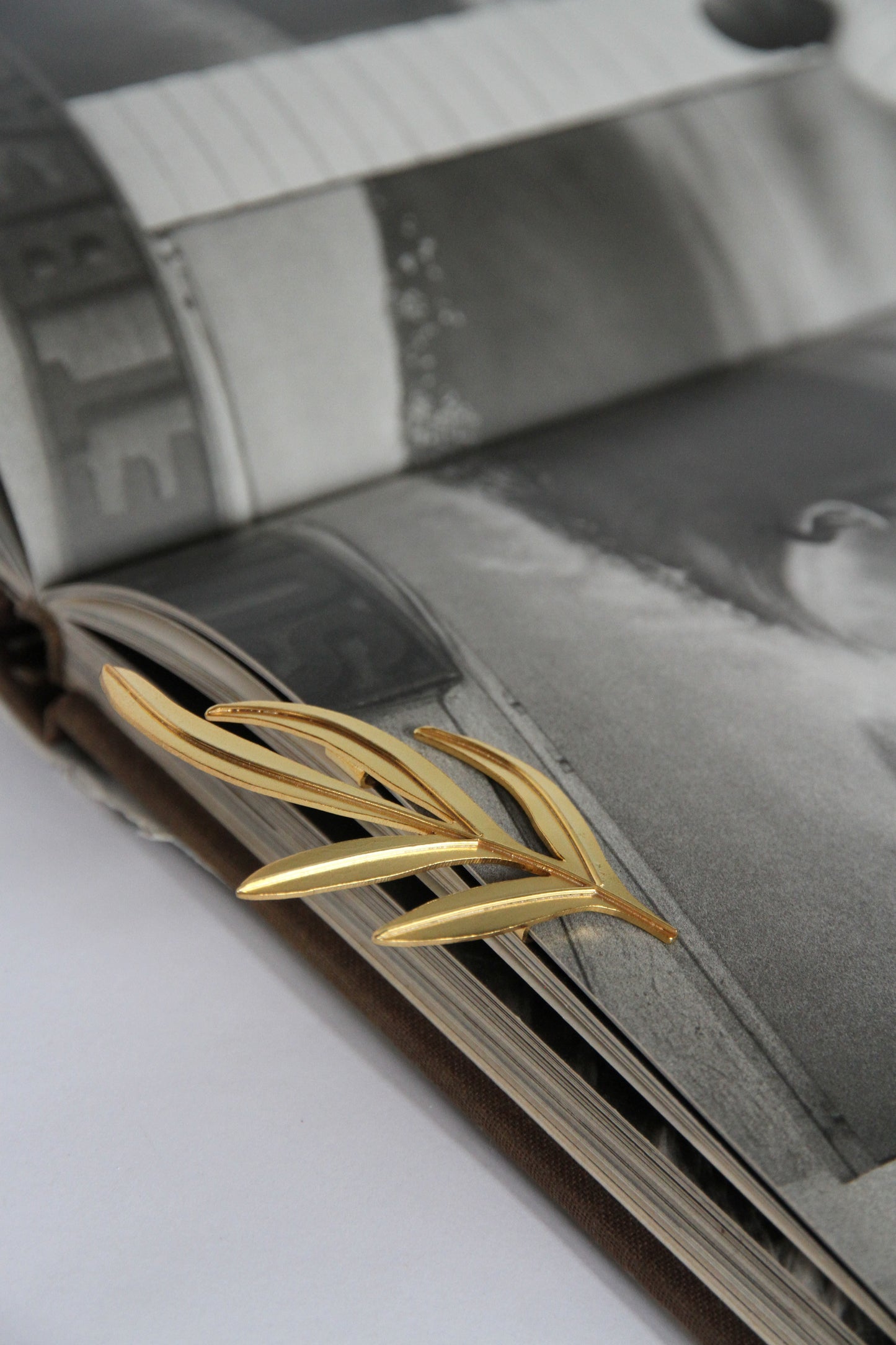 24K Gold Plated Brooch【Fern】by Aakar