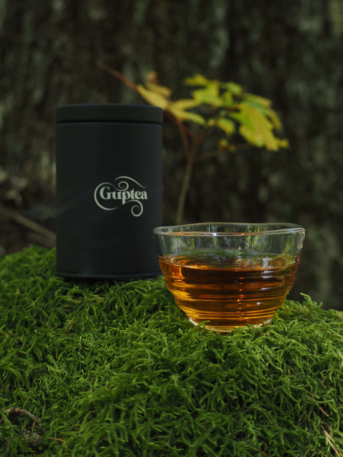 Guptea 33g缶入